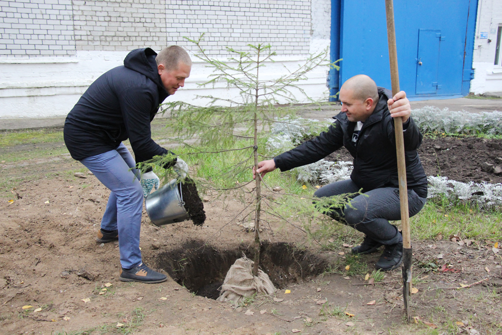 День посадки деревьев